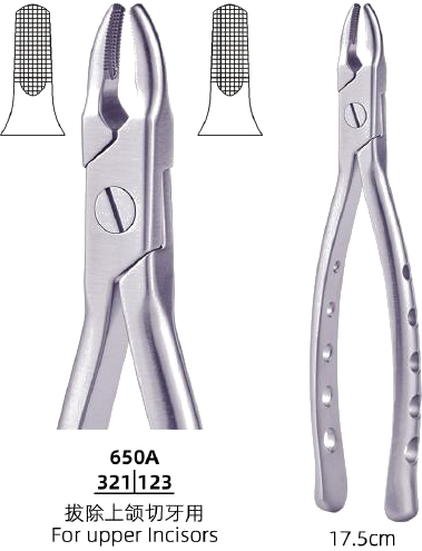 Adult Tooth Forceps — Upper Incisors