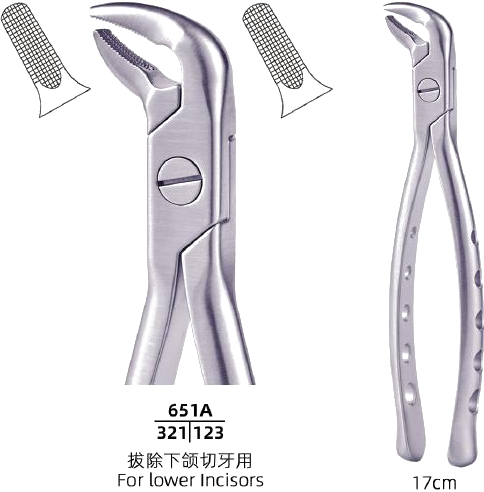 Adult Tooth Forceps — Lower Incisors