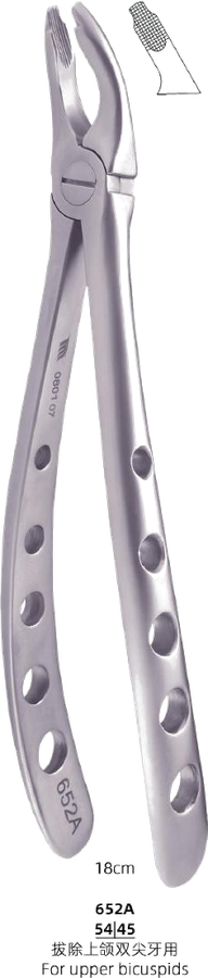 Adult Tooth Forceps — Upper Bicuspids (Large)