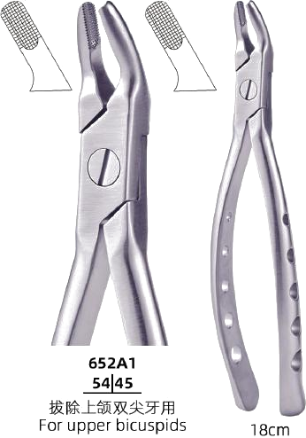 Adult Tooth Forceps — Upper Bicuspids