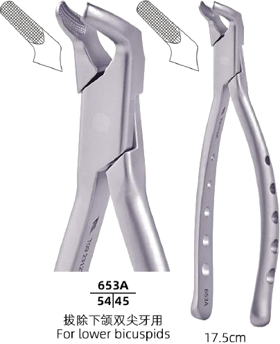 Adult Tooth Forceps — Lower Bicuspids