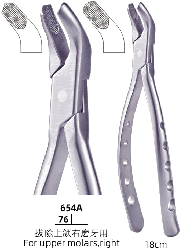 Adult Tooth Forceps — Upper Molars, Right