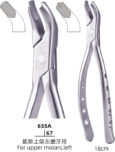 Adult Tooth Forceps — Upper Molars, Left
