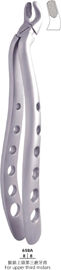 Adult Tooth Forceps — Upper Third Molars