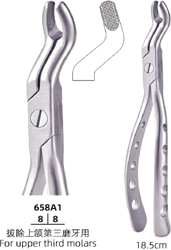 Adult Tooth Forceps — Upper Third Molars (Variant)