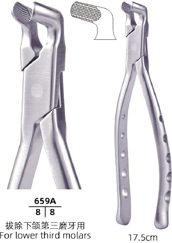 Adult Tooth Forceps — Lower Third Molars