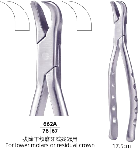 Adult Tooth Forceps — Lower Molars / Residual Crown
