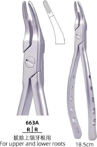 Root Forceps — Upper & Lower Roots