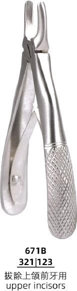 Mini Forceps — Upper Incisors