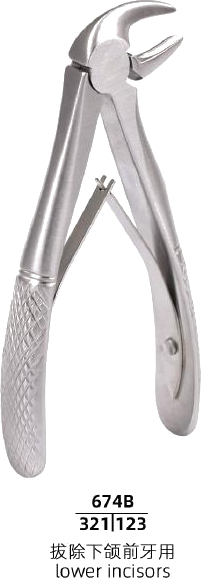 Mini Forceps — Lower Incisors