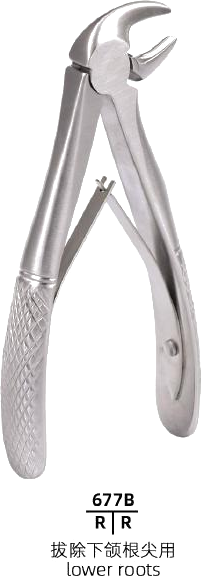 Mini Forceps — Lower Roots