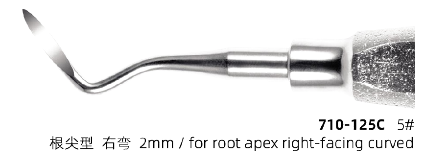 Root-Apex Elevator 5# · Right-Facing Curved 2mm